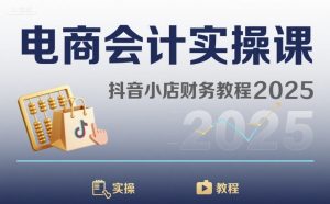 电商会计实操课-抖音小店财务教程2025-壹浩聊项目