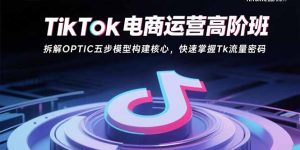 TikTok电商运营高阶班:拆解OPTIC五步模型构建核心,快速掌握Tk流量密码-壹浩聊项目