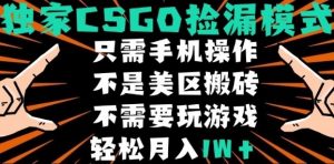 CSGO自动捡漏项目，最新独家玩法，不是美区搬砖，不需要了解和玩游戏，新手小白轻松月入1W+【揭秘】-壹浩聊项目