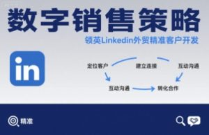 数字销售策略领英LinkedIn外贸精准客户开发-壹浩聊项目