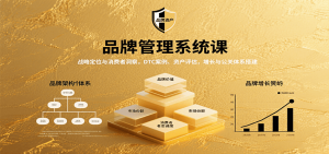 品牌管理系统课:战略定位与消费者洞察,DTC案例、资产评估,增长与公关体系搭建-壹浩聊项目