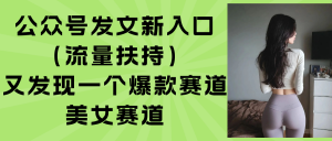 公众号发文新入口(流量扶持-壹浩聊项目
