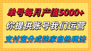 单月产值5000+，支付宝分成代运营，你提供账号坐等分钱，我们帮你运营-壹浩聊项目