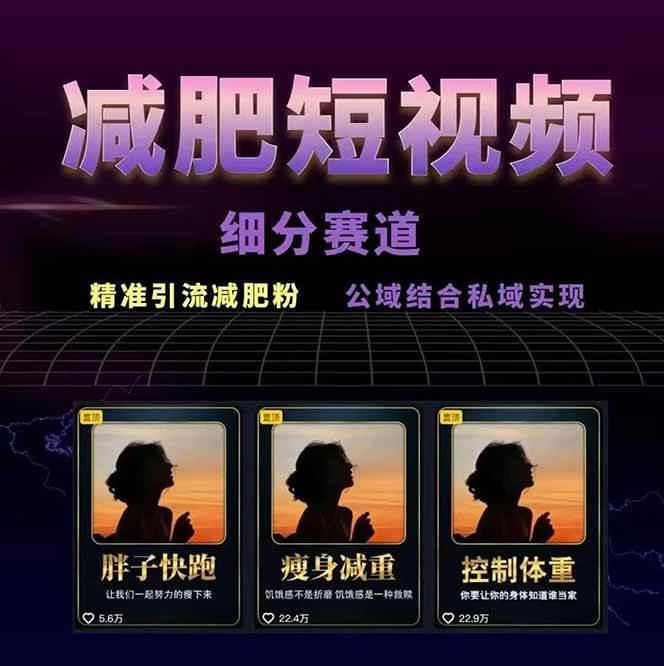 图片[2]-减肥短视频运营实战课：含素材制作、剪映教学，讲精准引流、变现设计与内容模板技巧-壹浩聊项目