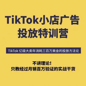TikTok小店广告投放特训营,6天破局计划专治各种“投不动”,教你经过月销百万验证的实战干货-壹浩聊项目