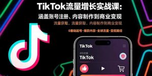 TikTok流量增长实战课:涵盖账号注册、流量获取、内容制作到商业变现-壹浩聊项目