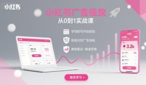 小红书广告投放从0到1的实战课,学完即可开始投放,拒绝无效广告消耗-壹浩聊项目