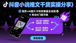 抖音小说推文干货实操分享,混剪+AI图片卡特效爆量全流程,0粉丝0门槛可做-壹浩聊项目