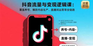 抖音流量与变现逻辑课:覆盖养号、爆款内容生产、直播间运营等全链路-壹浩聊项目
