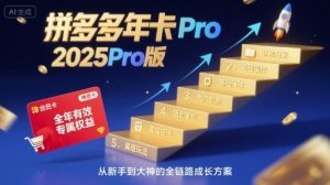拼多多年卡2025Pro版,五大板块从认知到基础、从推广到活动、从活动到玩法-壹浩聊项目