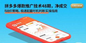 拼多多爆款推广技术48期，净成交与出价策略，极速起量时机判断实操指南-壹浩聊项目