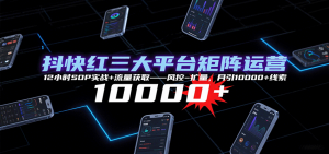 抖快红三大平台矩阵运营，12小时SOP实战+流量获取-风控-扩量，月引10000+线索-壹浩聊项目