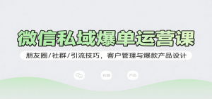 微信私域爆单运营课:朋友圈/社群/引流技巧,客户管理与爆款产品设计-壹浩聊项目