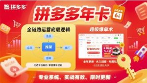 拼多多年卡【8月更新6节】拼多多全链路运营底层逻辑,超级爆单术-壹浩聊项目