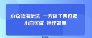 小众蓝海玩法 一天搞了四位数 小白可做 操作简单-壹浩聊项目