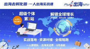 出海去孵化器，一人出海实战课，超级个体第1站，解锁全球增长-壹浩聊项目