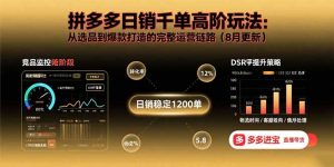 拼多多日销千单高阶玩法:从选品到爆款打造的完整运营链路(8月更新-壹浩聊项目