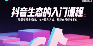 抖音生态的入门课程:流量变现全攻略,16种盈利方式,标签体系精准定位-壹浩聊项目