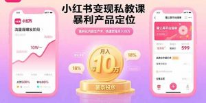 小红书变现私教课,暴利产品定位,高转化内容生产术,快速实现月入10万-壹浩聊项目