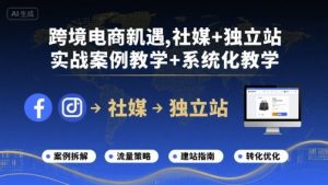 跨境电商新机遇，社媒+独立站，实战案例教学+系统化教学-壹浩聊项目