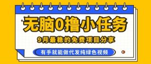 0学费0风险，2025风口项目，无脑免费撸，代发纯绿色视频，一部手机人人可做【揭秘】-壹浩聊项目