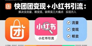 快团团变现+小红书引流：解决没流量、难变现、缺帮卖三大痛点 实现月入3w+-壹浩聊项目