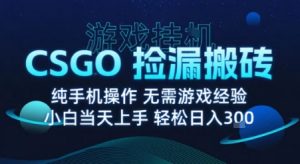 8月最新游戏搬砖,CSGO纯挂G,不需要玩游戏,实现真挂G,月入1W+【揭秘】-壹浩聊项目
