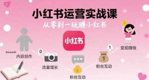 小红书运营实战课，从零到一玩賺小红书-壹浩聊项目