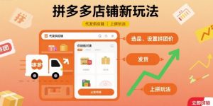 拼多多店铺新玩法,代发供应链上拼玩法-壹浩聊项目