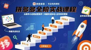 拼多多全阶实战课程,从新手小白到运营高手,海量实战玩法+全年实时更新【2025年9月更新】-壹浩聊项目