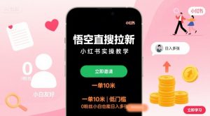 悟空直搜拉新小红书实操教学，一单10米，低门槛，0粉丝小白也能日入多张-壹浩聊项目