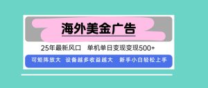 最新海外广告美金，全自动挂机，单机单日500+，可矩阵放大，新手小白轻…-壹浩聊项目