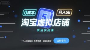 淘宝虚拟店铺项目实战课,一个人也能做,无需货源、0成本起步,月入5k-壹浩聊项目