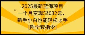 2025最新蓝海项目一个月变现1w+新手小白也能轻松上手【附全套指令】-壹浩聊项目