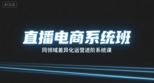 直播电商系统班,同领域差异化运营进阶系统课-壹浩聊项目
