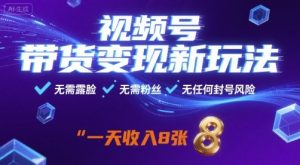 视频号带货变现新玩法,无需露脸,无需粉丝,无任何封号风险,一天收益8张【揭秘】-壹浩聊项目