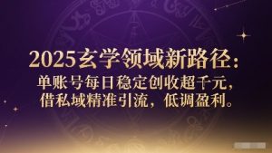 2025玄学领域新路径:单账号每日稳定创收1k+,借私域精准引流,低调盈利-壹浩聊项目