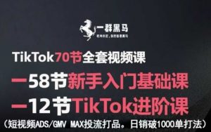 TikTok全套视频课,新手入门+进阶课,短视频ADS-GMV MAX投流打品,日销破1000单打法-壹浩聊项目