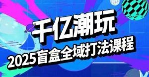 2025盲盒全域全套打法课，盲盒起号、选品、话术、私域等-壹浩聊项目