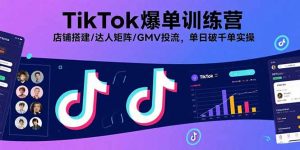 TikTok爆单训练营,店铺搭建/达人矩阵/GMV投流,单日破千单实操-壹浩聊项目
