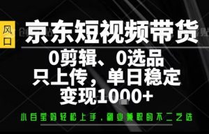 你出账号,我来运营,保底日入1k+,开启躺賺模式【揭秘】-壹浩聊项目