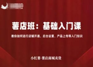 小红薯薯店商城卖货，基础入门课，教你如何进行店铺开通、后台设置、产品上传等入门知识-壹浩聊项目