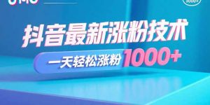 抖音最新涨粉技术,一天轻松涨粉1000+-壹浩聊项目