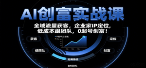 AI创富实战课：企业家IP定位，全域流量获客，低成本组团队，0起号创富！-壹浩聊项目