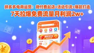 拼多多电商运营：微付费起店+活动引流+爆款打造 7天拉爆免费流量月利润2w+-壹浩聊项目