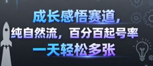成长感悟赛道，纯自然流，百分百起号率 一天轻松多张-壹浩聊项目