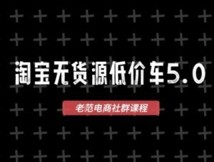 淘宝无货源价车5.0，2025最新VIP淘宝无货源课程，1688代发，蓝海选品，零成本创业首选(更新)-壹浩聊项目