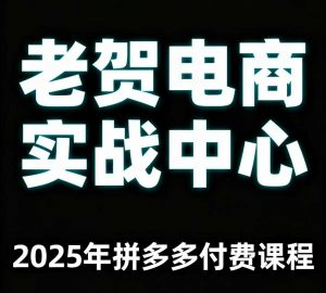 老贺电商2025年拼多多付费课程，用通俗易懂的方法告诉你多多怎么玩-壹浩聊项目