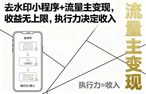 去水印小程序+流量主变现，收益无上限，执行力决定收入-壹浩聊项目