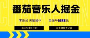 番茄音乐人掘金，单账号最高可撸1k+，可无限矩阵去做，零投入-壹浩聊项目